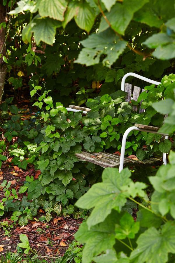 Rosenlund Bed & Breakfast Skovsgarde Luaran gambar