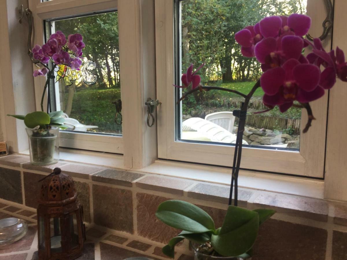 Rosenlund Bed & Breakfast Skovsgarde Luaran gambar