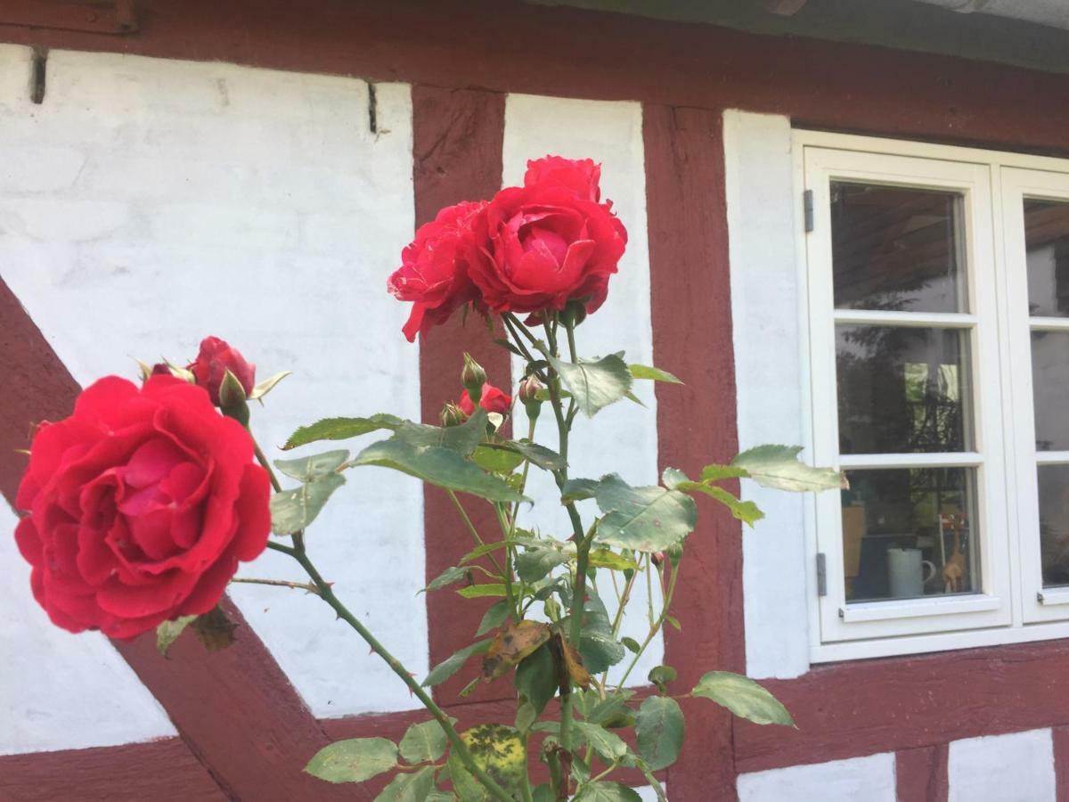 Rosenlund Bed & Breakfast Skovsgarde Luaran gambar