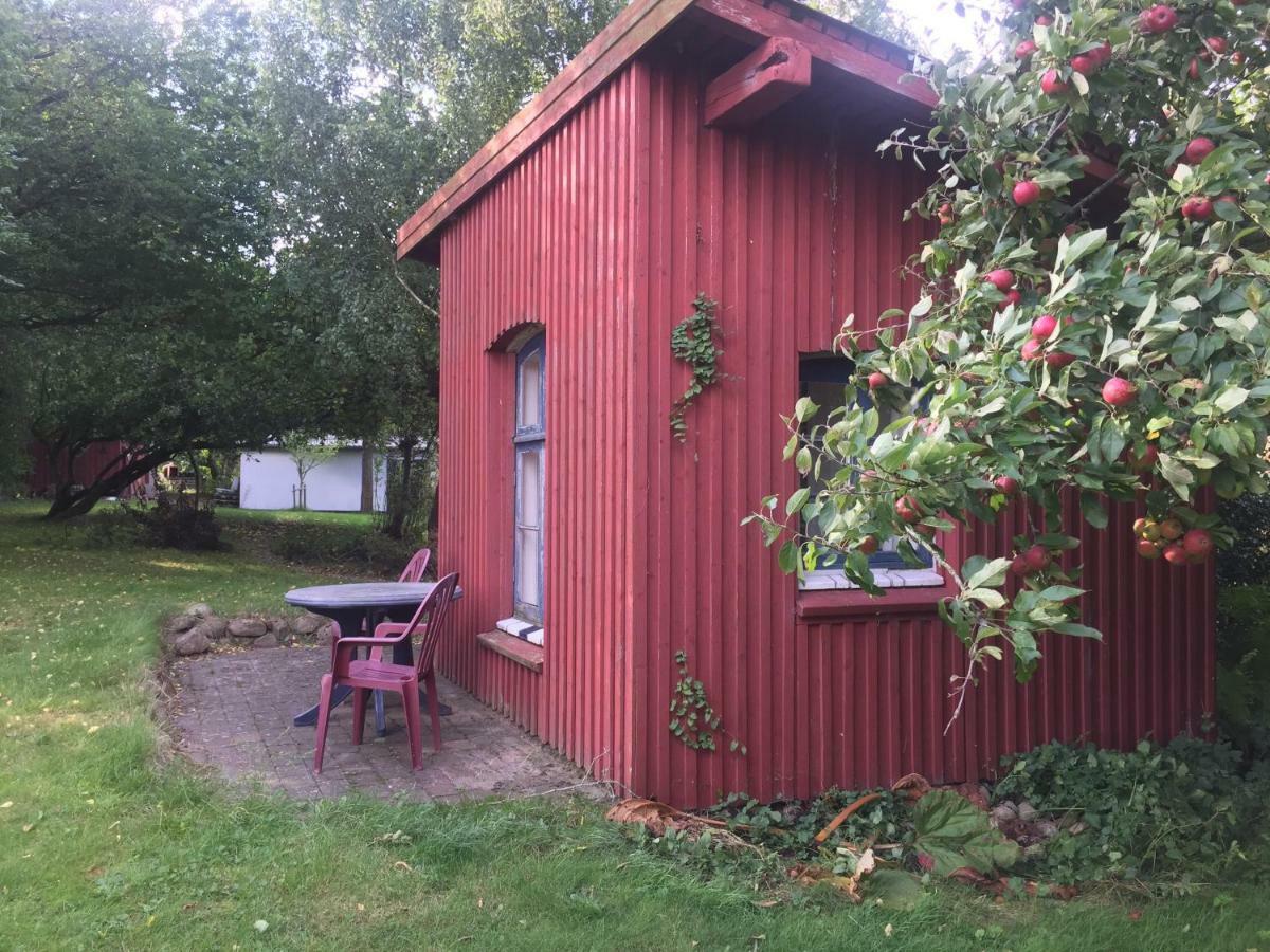 Rosenlund Bed & Breakfast Skovsgarde Luaran gambar